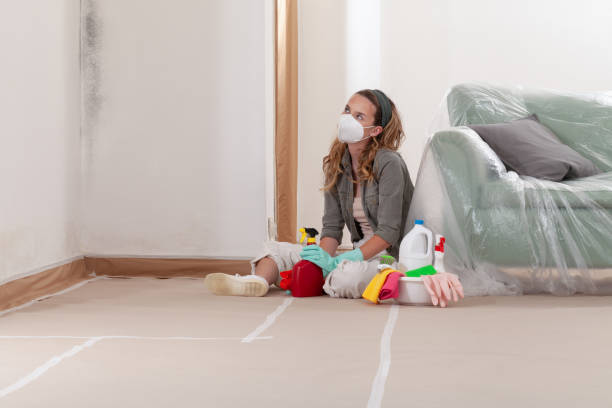 Trusted Basement Mold Remediation service in Newton, NC - Cheap Mold Removal