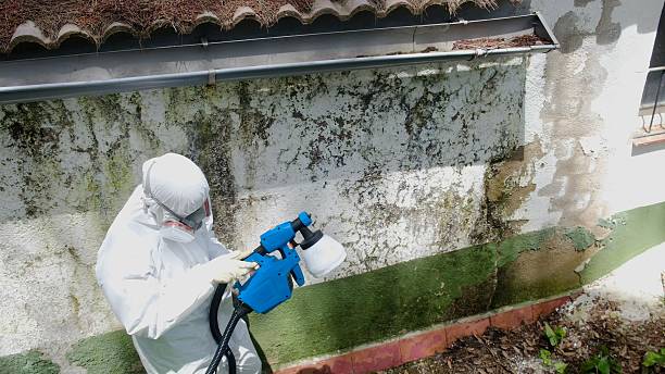 Trusted Commercial Mold Remediation service in Newton, NC - Cheap Mold Removal